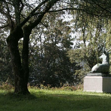 Schloss Wittgenstein Apartment บาด ลาสเฟอ ภายนอก รูปภาพ