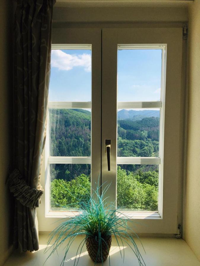 Schloss Wittgenstein Apartment บาด ลาสเฟอ ภายนอก รูปภาพ