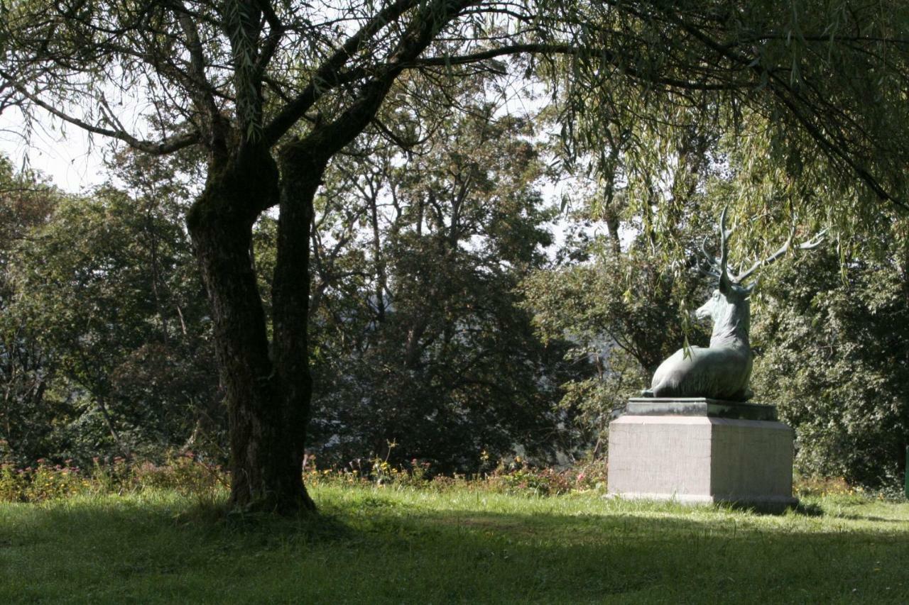 Schloss Wittgenstein Apartment บาด ลาสเฟอ ภายนอก รูปภาพ